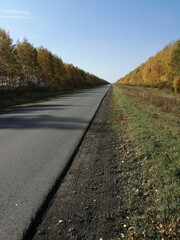 Fototapeta premium road in autumn
