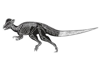 Corythosaurus