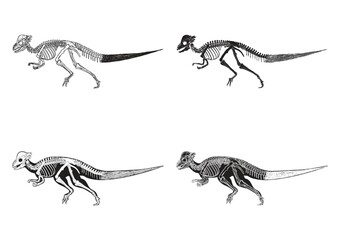 Set of corythosaurus icons