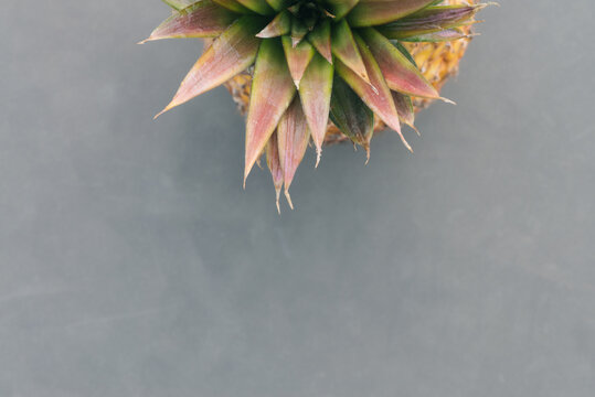 pineapple from above
