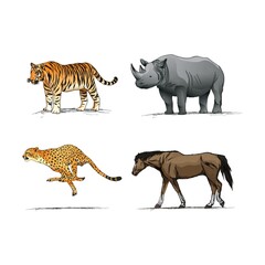 Collection of animals