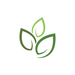 Leaf Logo Template vector symbol