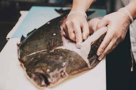 Hands filleting (cutting) fish
