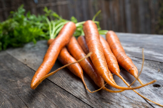 Fresh Organic Carrots