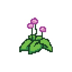 Pixelated flower plant