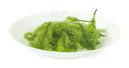 Sea grapes ( green caviar ) seaweed isolated on white background