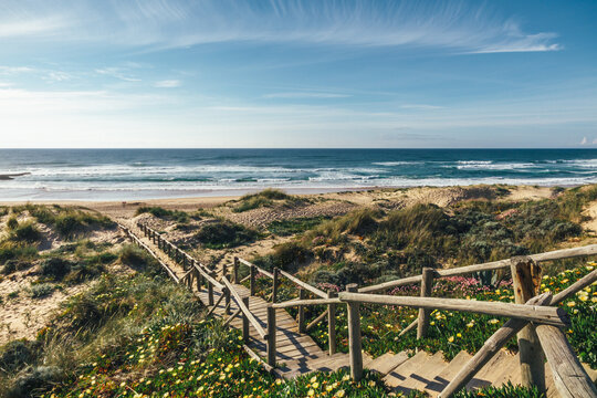 wooden stairs leading to the beach of the atlantic ocean