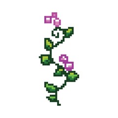 Fototapeta premium Pixelated vine plant