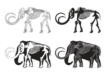 Set of mammoth icons - obrazy, fototapety, plakaty