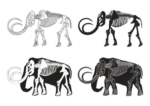 Set of mammoth icons