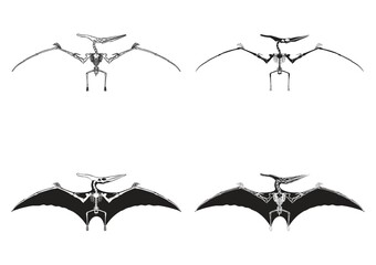Set of pteranodon icons © captainvector