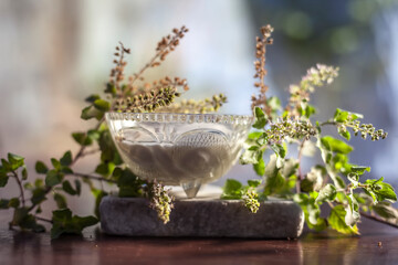 Best homemade DIY face mask to remove dead skin cells on the brown colored wooden surface consisting of some tulsi or basil leaves well mixed with curd. Shot of fresh basil leaves and curd.