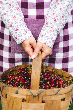 Woman holding cherries