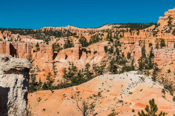 Inspiration Point From The Fairyland Loop Trail, Bryce Canyon National Park,Utah,USA