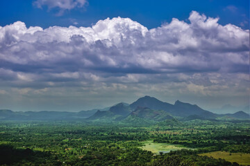 Fototapeta premium In the valley there is a green forest. In the distance are the silhouettes of mountains. Blue sky with scenic clouds. View from the top of Mount Sigiriya. Sri Lanka.