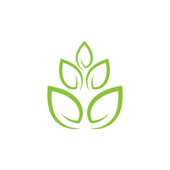 Leaf Logo Template vector symbol