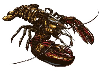 Lobster