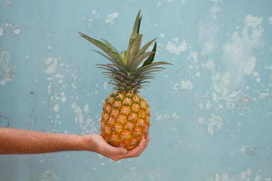 Pineapple in hand