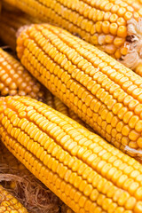 Autumn yields plenty of golden corn