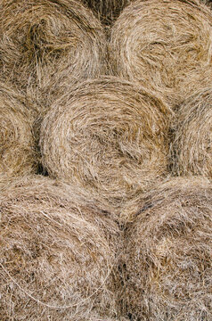 stack of round bales of hay