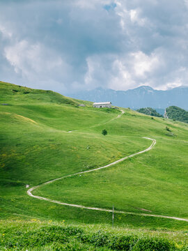 Road in the countryside