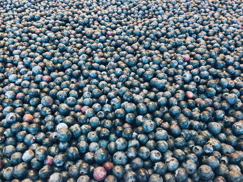 Blueberries