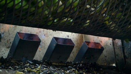 Closeup of flames roasting green chile. A metal drum spins grilling the peppers. Hatch chile is a staple of New Mexico agriculture, produce, food, and tradition.