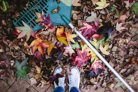 Looking down on a woman's feet standing in front of a pile of Autumn leaves and a rake