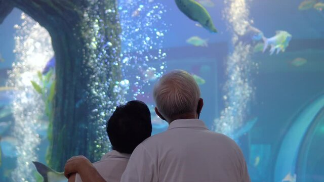 Asian senior elder couple dating in Aquarium new normal condition with mask fun happy relax trip together