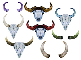 Naklejka premium Watercolor set of Horn skull head skeleton buffalo bull gaur isolated on white background Bohemian illustration style for your projects, greeting cards ,textile fabric ,print paper