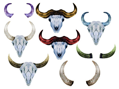 Watercolor set of Horn skull head skeleton buffalo bull gaur  isolated on white background Bohemian illustration style for your projects, greeting cards ,textile fabric ,print paper