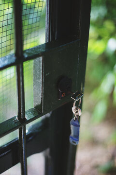 Keys hanging from iron gate's lock