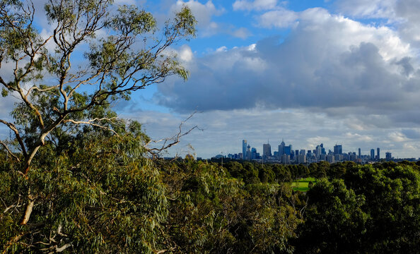 View of Melbourne from Studley Park