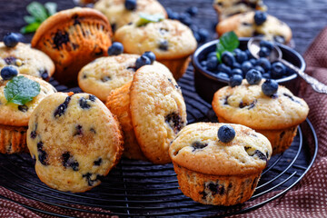 Blueberry muffins on a rustic wooden background