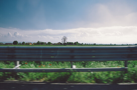 Lone tree viewed from car passenger-side window, focus on tree.