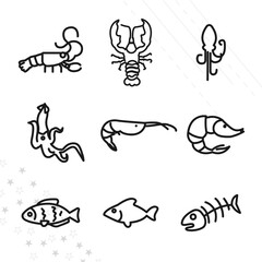calmar, shrimp, lagostas, sea food line icon set