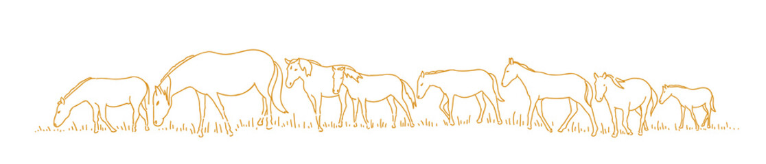 Horses are walking. Hand drawn sketch. One after another. Herd of horses in the forest. Vector illustration. Horizontal banner background.