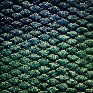 Patterns on concrete sidwalk, close up