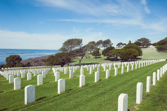 Massive seaside graveyard
