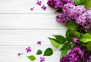 Lilac in flat style on white background. Beautiful spring. Overhead view. Flat lay, top. Summer season. Natural spring style.