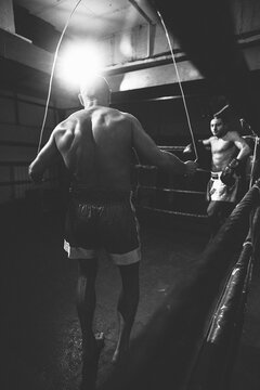 Boxers Warming Up