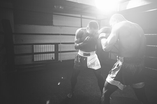 Professional Boxers Fighting