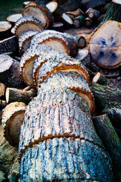 Wooden logs