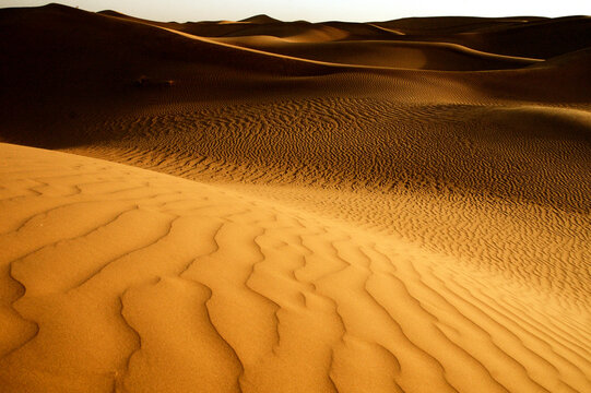 Sahara dunes
