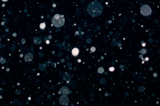 Snowstorm at night - Powered by Adobe