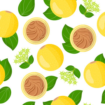 Vector cartoon seamless pattern with Strychnos spinosa exotic fruits, flowers and leafs on white background