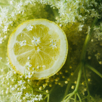 elderflower cordial close up