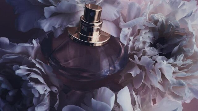 Purple perfume bottle with peony flowers, chic fragrance scent as luxury cosmetic, fashion and beauty product background, stock footage