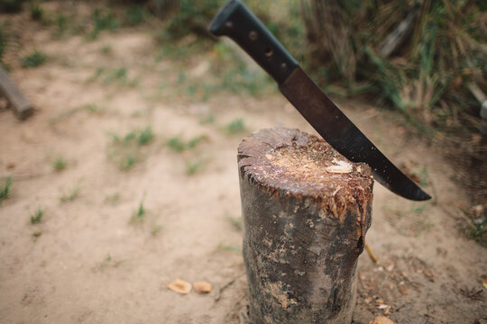 Machete knife stuck in a wooden log