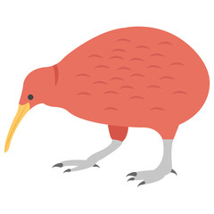 Kiwi 